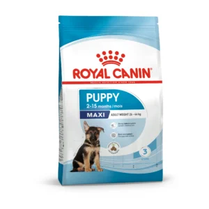 Royal Canin Hạt khô cho cho con dong Maxi chính hãng tại Perro Perro
